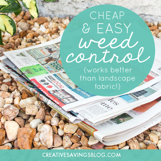 Cheap & Easy Weed Control
