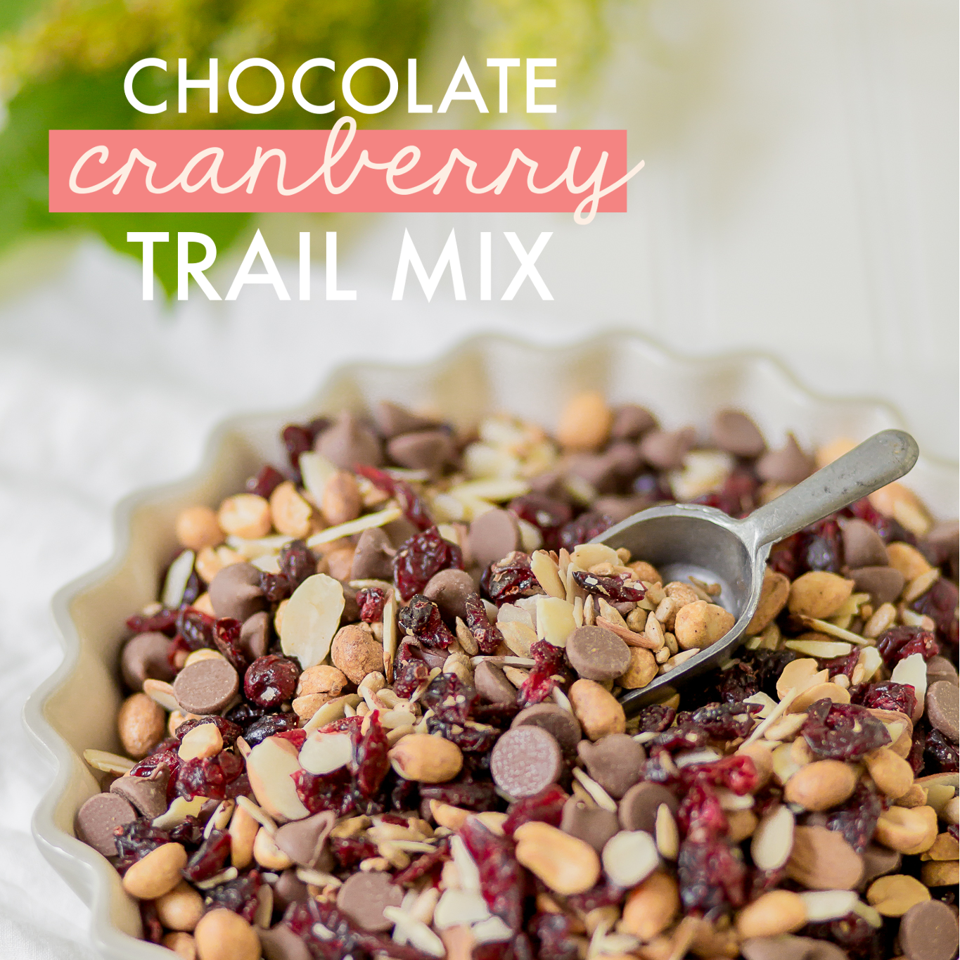 Chocolate Cranberry Trail Mix