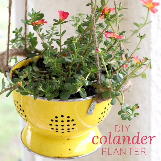 DIY Colander Planter