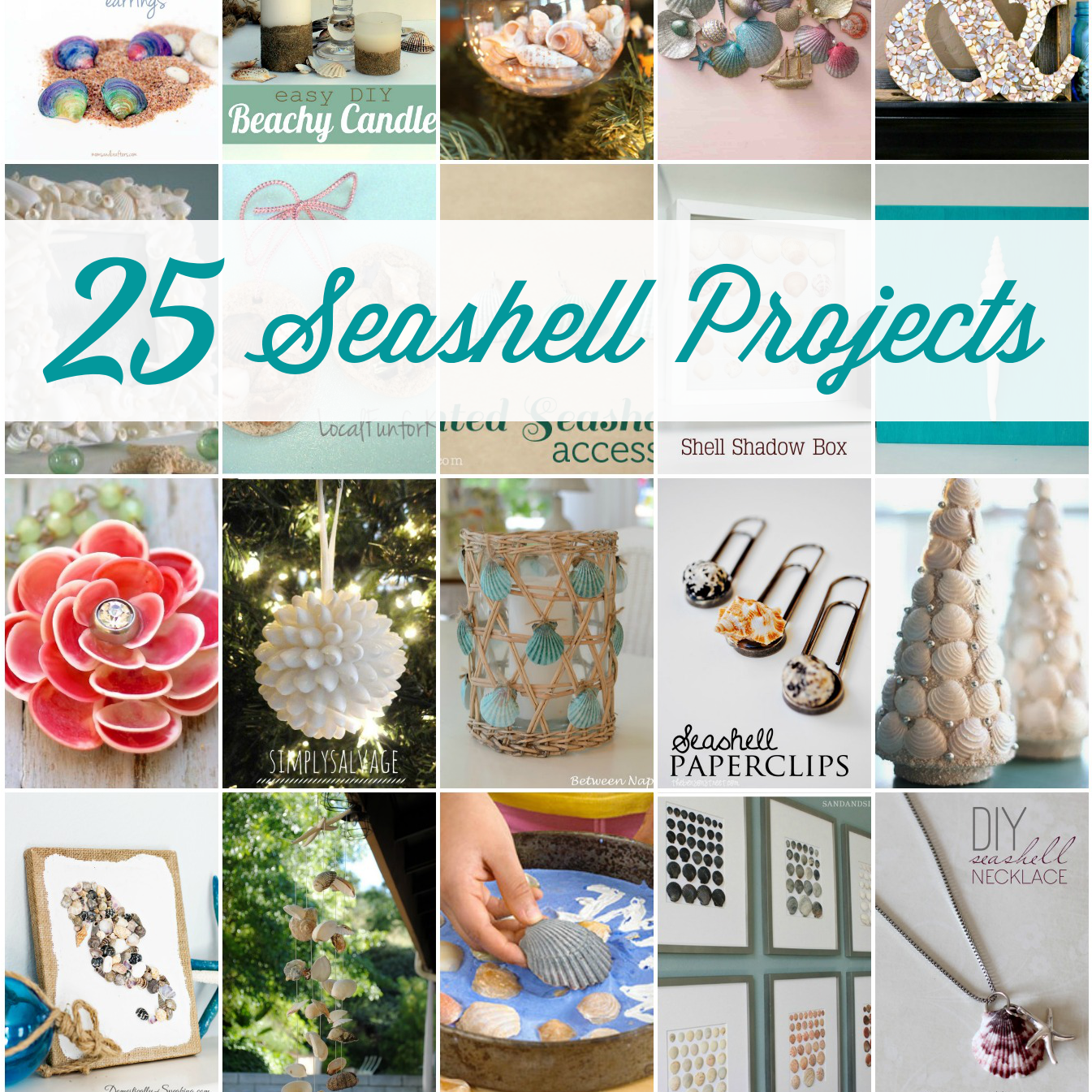 25 Stunning Seashell Projects